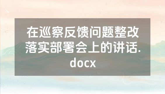 在巡察反馈问题整改落实部署会上的讲话.docx