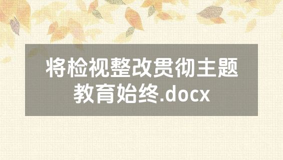 将检视整改贯彻主题教育始终.docx