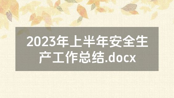 2023年上半年安全生产工作总结.docx
