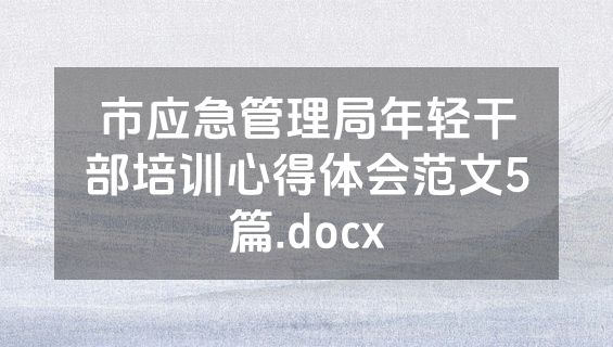 市应急管理局年轻干部培训心得体会范文5篇.docx