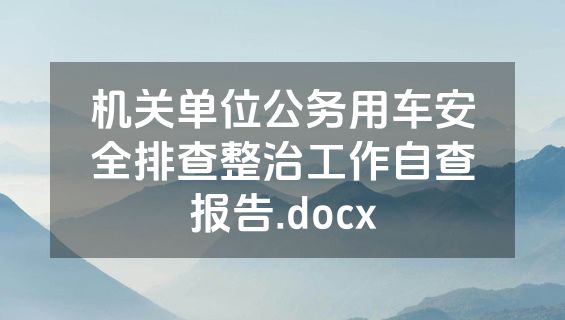 机关单位公务用车安全排查整治工作自查报告.docx