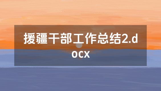 援疆干部工作总结2.docx