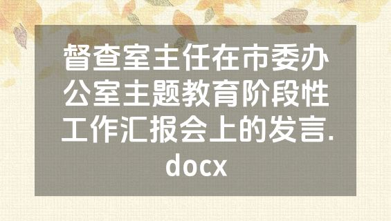 督查室主任在市委办公室主题教育阶段性工作汇报会上的发言.docx