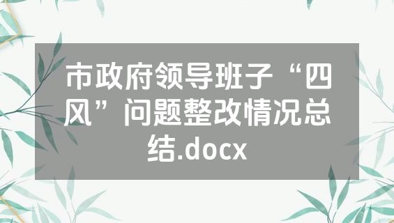 市政府领导班子“四风”问题整改情况总结.docx