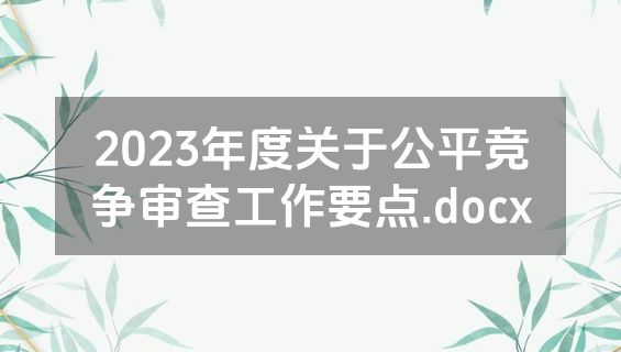 2023年度关于公平竞争审查工作要点.docx