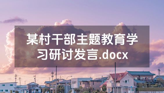 某村干部主题教育学习研讨发言.docx