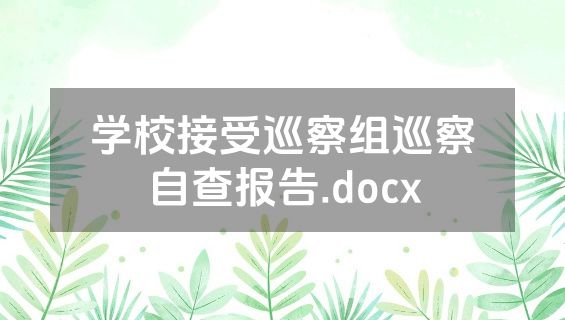 学校接受巡察组巡察自查报告.docx