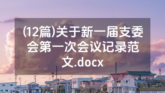 (12篇)关于新一届支委会第一次会议记录范文.docx