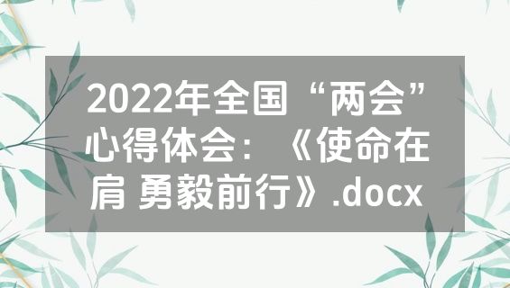 2022年全国“两会”心得体会：《使命在肩 勇毅前行》.docx