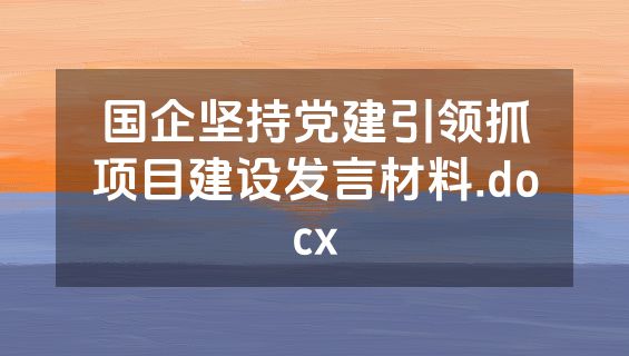 国企坚持党建引领抓项目建设发言材料.docx