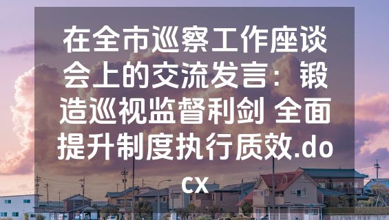在全市巡察工作座谈会上的交流发言：锻造巡视监督利剑 全面提升制度执行质效.docx