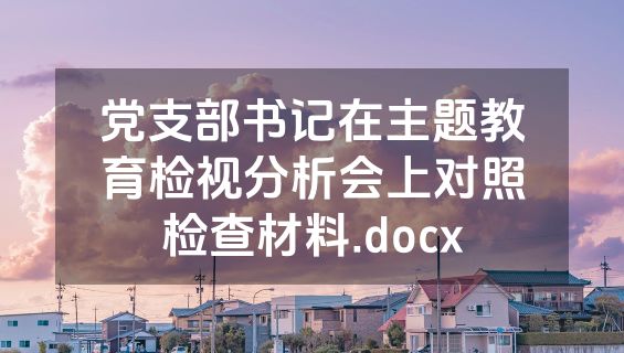 党支部书记在主题教育检视分析会上对照检查材料.docx