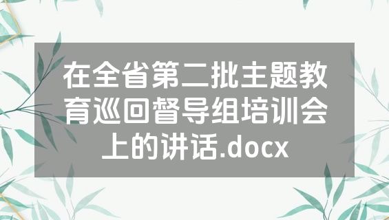 在全省第二批主题教育巡回督导组培训会上的讲话.docx