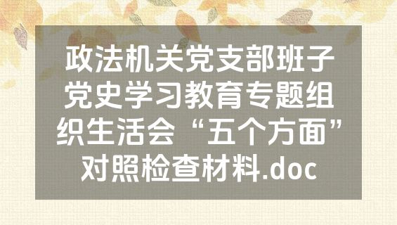 政法机关党支部班子党史学习教育专题组织生活会“五个方面”对照检查材料.doc