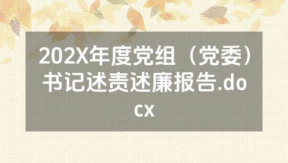 202X年度党组（党委）书记述责述廉报告.docx