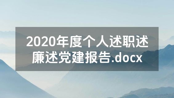2020年度个人述职述廉述党建报告.docx
