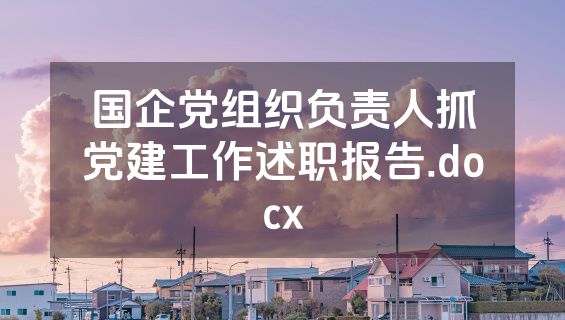 国企党组织负责人抓党建工作述职报告.docx