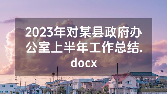 2023年对某县政府办公室上半年工作总结.docx
