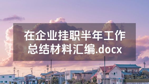 在企业挂职半年工作总结材料汇编.docx