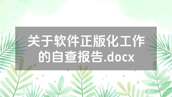 关于软件正版化工作的自查报告.docx