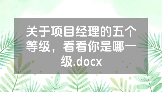 关于项目经理的五个等级，看看你是哪一级.docx