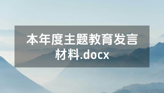 本年度主题教育发言材料.docx