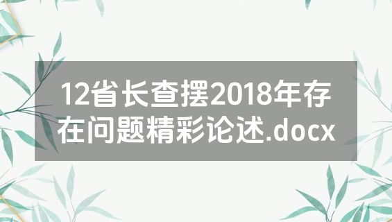 12省长查摆2018年存在问题精彩论述.docx