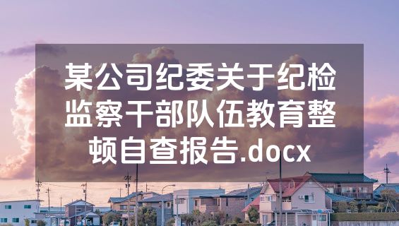 某公司纪委关于纪检监察干部队伍教育整顿自查报告.docx