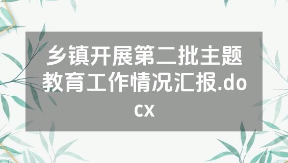 乡镇开展第二批主题教育工作情况汇报.docx