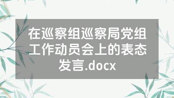 在巡察组巡察局党组工作动员会上的表态发言.docx