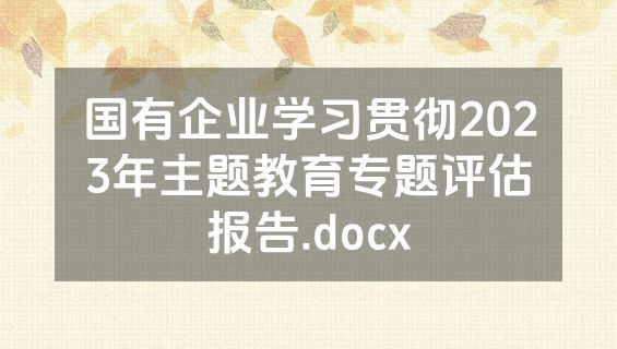 国有企业学习贯彻2023年主题教育专题评估报告.docx
