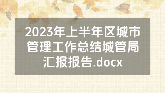 2023年上半年区城市管理工作总结城管局汇报报告.docx