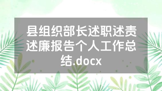 县组织部长述职述责述廉报告个人工作总结.docx