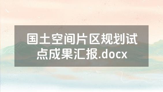 国土空间片区规划试点成果汇报.docx