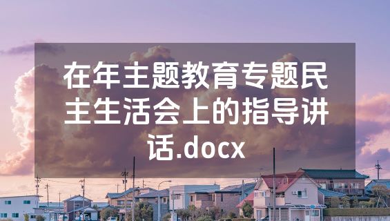 在年主题教育专题民主生活会上的指导讲话.docx