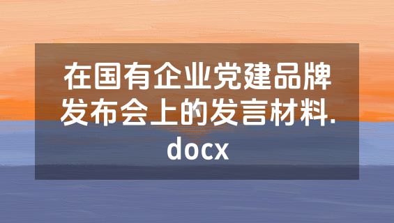在国有企业党建品牌发布会上的发言材料.docx