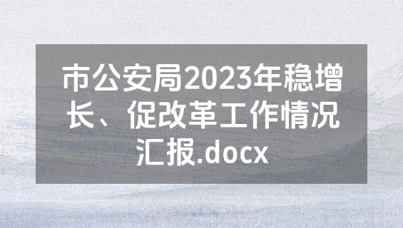市公安局2023年稳增长、促改革工作情况汇报.docx