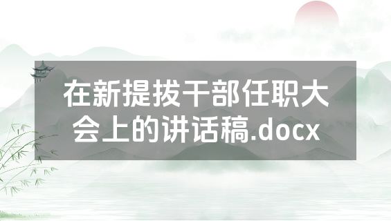 在新提拔干部任职大会上的讲话稿.docx