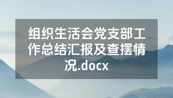 组织生活会党支部工作总结汇报及查摆情况.docx