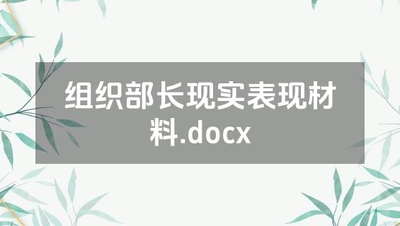 组织部长现实表现材料.docx