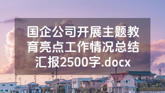 国企公司开展主题教育亮点工作情况总结汇报2500字.docx