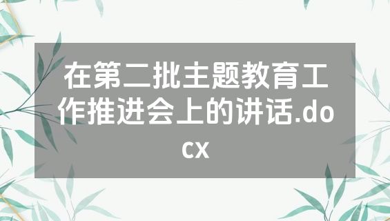 在第二批主题教育工作推进会上的讲话.docx
