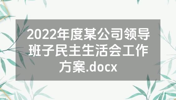 2022年度某公司领导班子民主生活会工作方案.docx