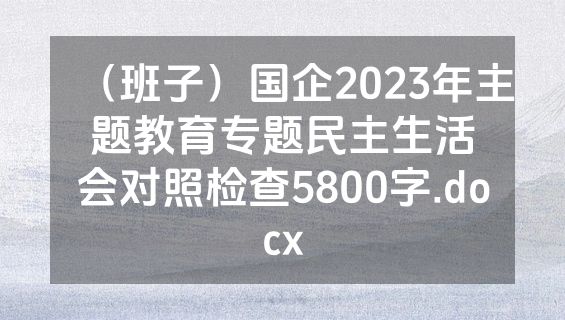（班子）国企2023年主题教育专题民主生活会对照检查5800字.docx