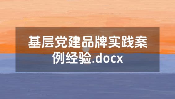 基层党建品牌实践案例经验.docx