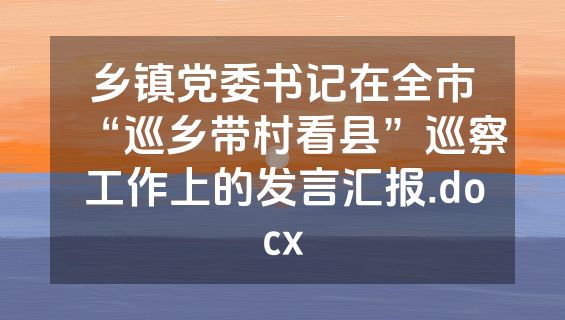 乡镇党委书记在全市“巡乡带村看县”巡察工作上的发言汇报.docx