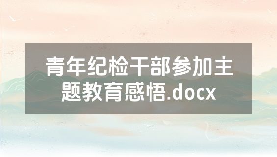 青年纪检干部参加主题教育感悟.docx