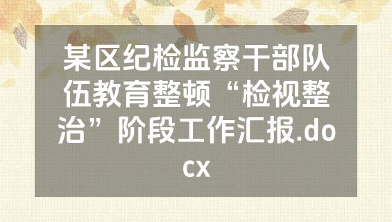某区纪检监察干部队伍教育整顿“检视整治”阶段工作汇报.docx