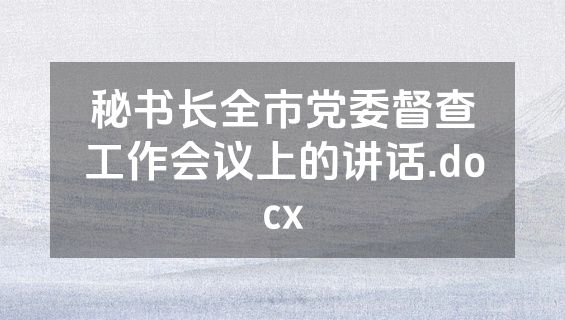 秘书长全市党委督查工作会议上的讲话.docx