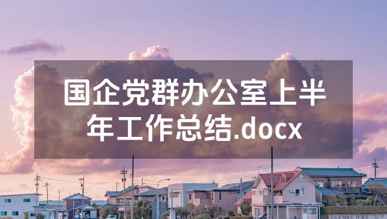 国企党群办公室上半年工作总结.docx